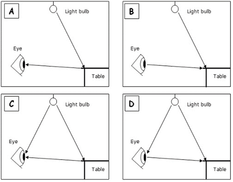 The Act of Seeing From a Scientific Perspective